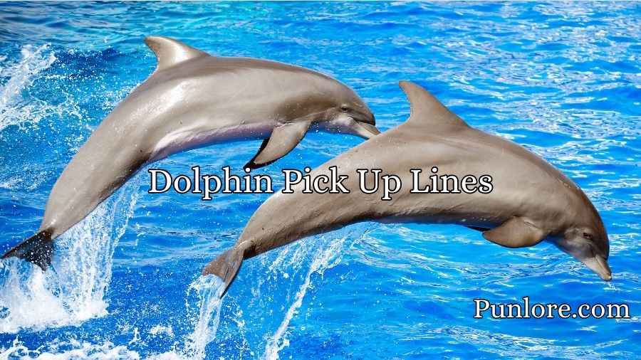 Dolphin Pick Up Lines