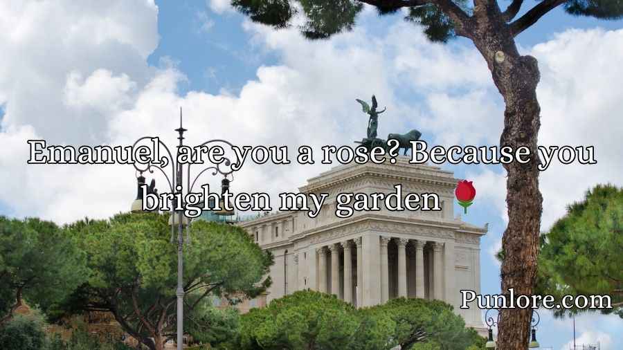 Emanuel Pickup Lines