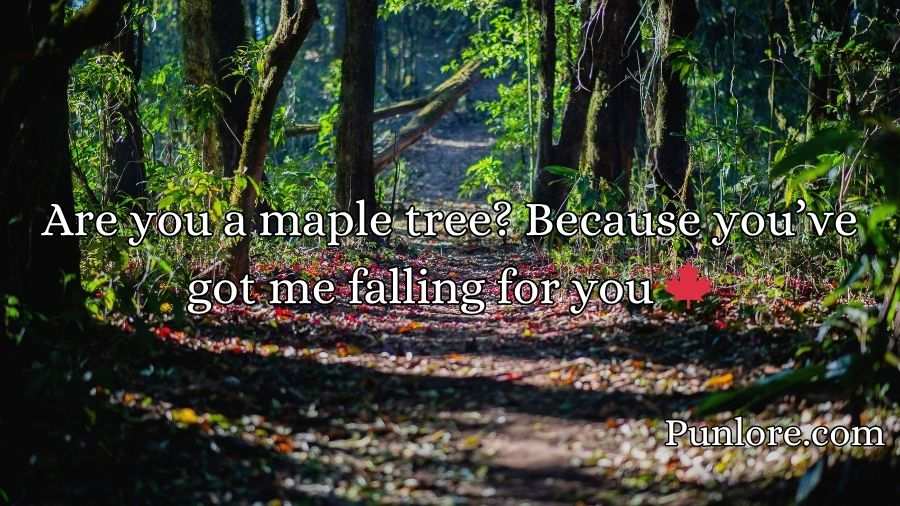 Forest Pickup Lines