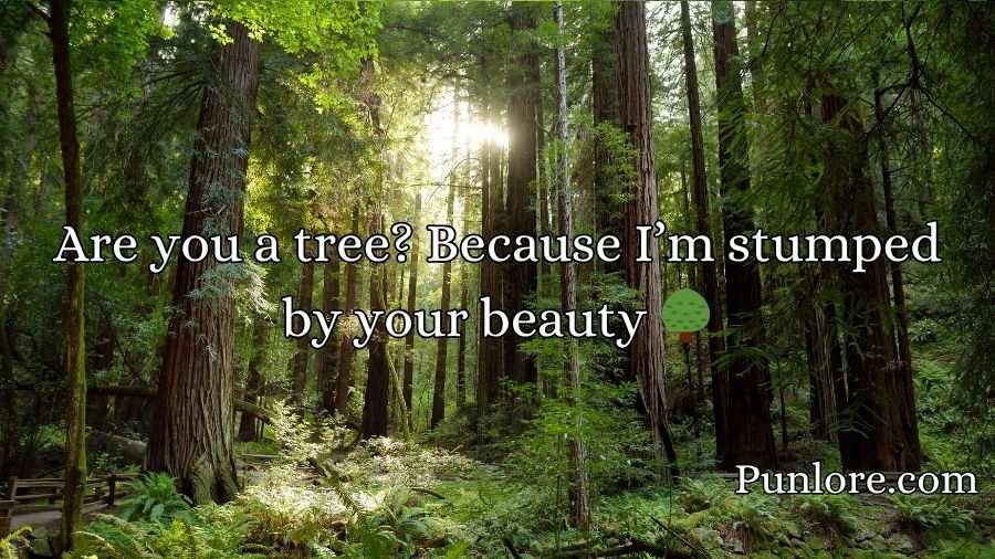 Forest Pickup Lines