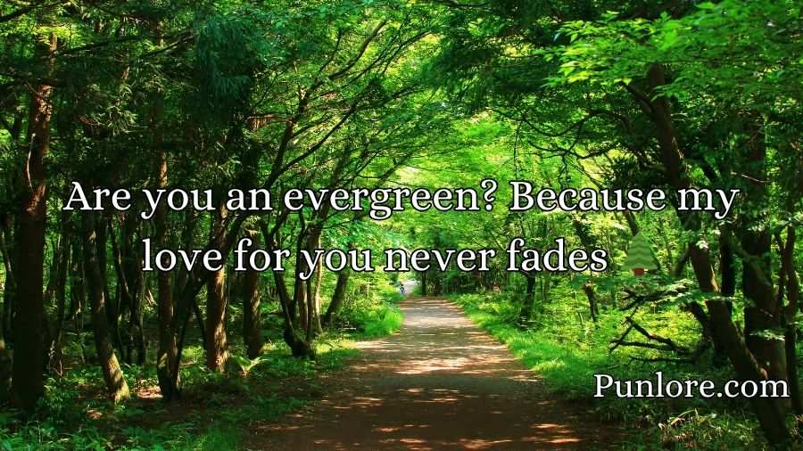 Forest Pickup Lines
