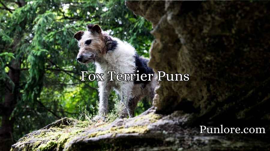 Fox Terrier Puns