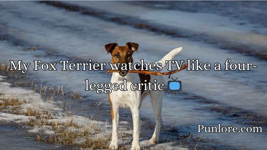 Fox Terrier Puns