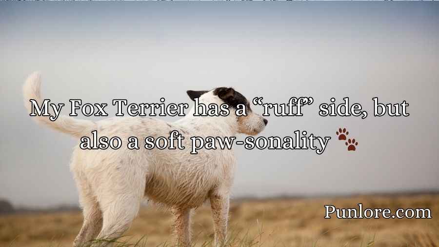 Fox Terrier Puns