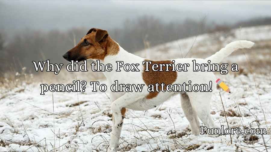 Fox Terrier Puns