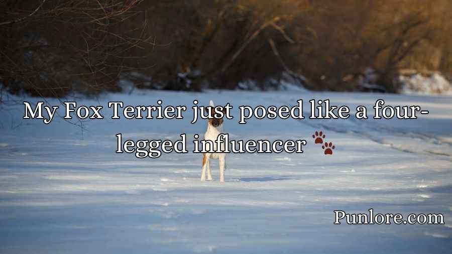 Fox Terrier Puns