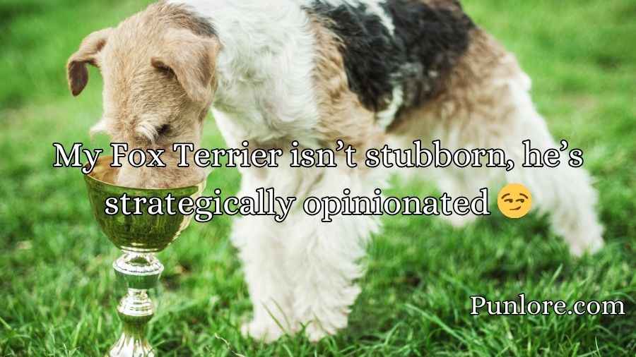 Fox Terrier Puns