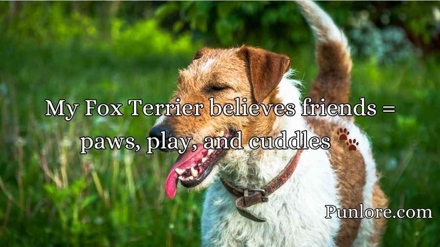 Fox Terrier Puns