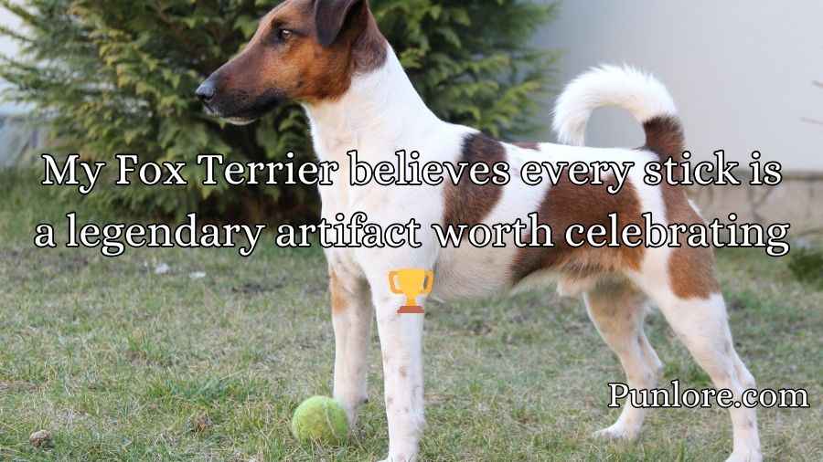 Fox Terrier Puns
