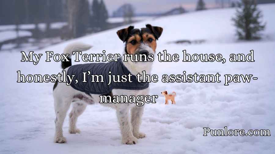 Fox Terrier Puns