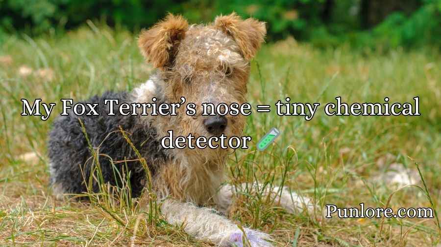 Fox Terrier Puns