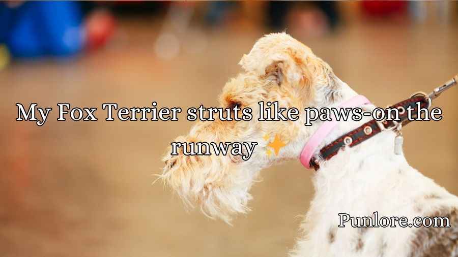 Fox Terrier Puns