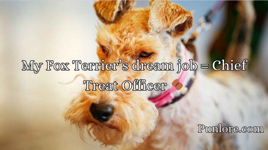 Fox Terrier Puns