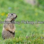 Groundhog Pickup Lines