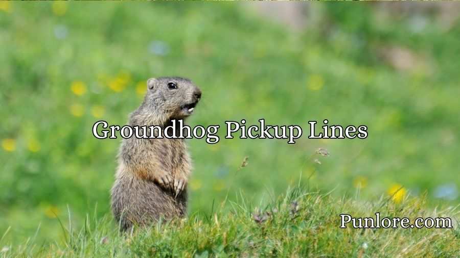 Groundhog Pickup Lines
