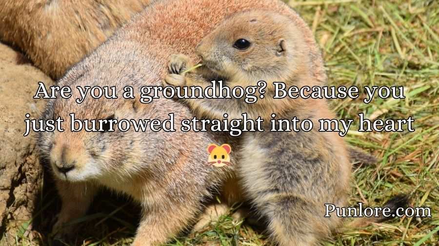 Groundhog Pickup Lines