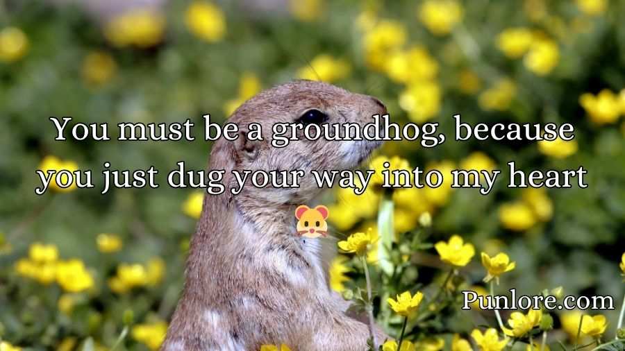 Groundhog Pickup Lines