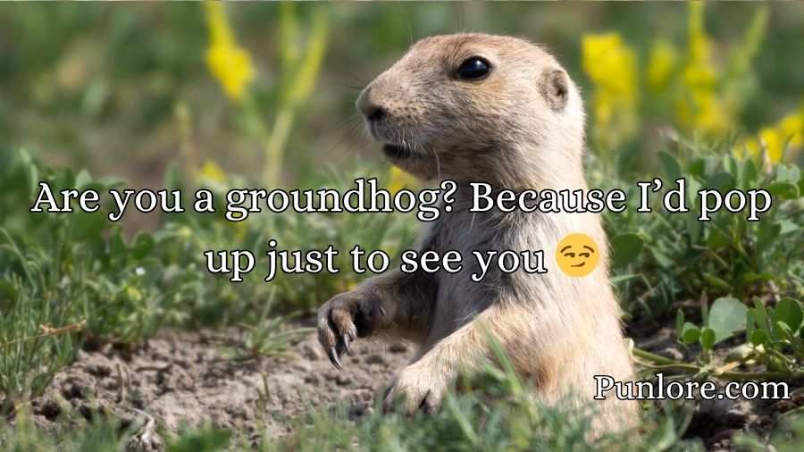 Groundhog Pickup Lines