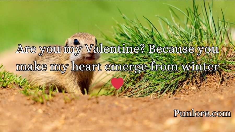 Groundhog Pickup Lines