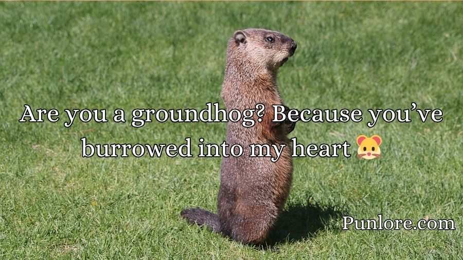 Groundhog Pickup Lines