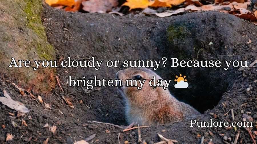 Groundhog Pickup Lines