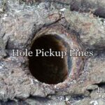 Hole Pickup Lines