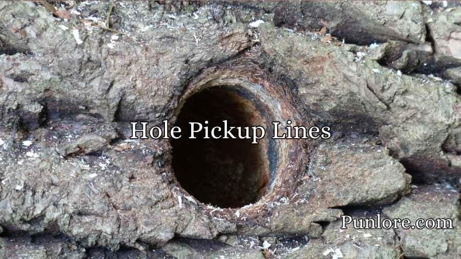 Hole Pickup Lines