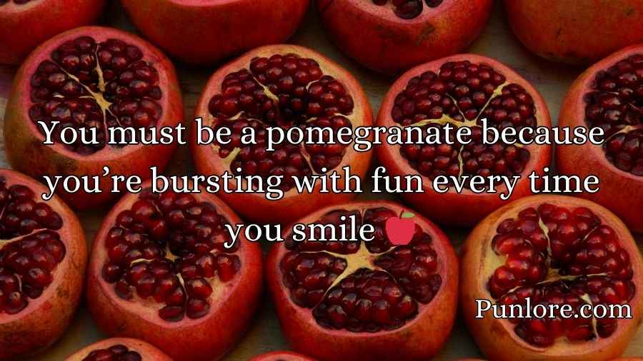 Juicy Pomegranate Puns