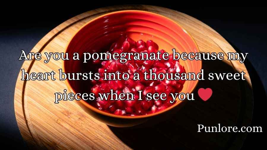 Juicy Pomegranate Puns