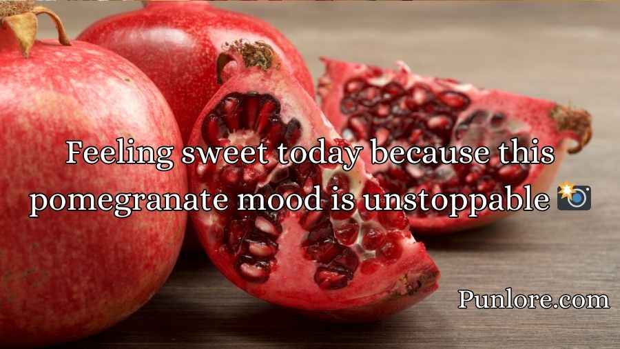 Juicy Pomegranate Puns