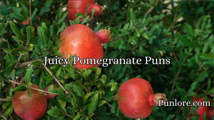 Juicy Pomegranate Puns