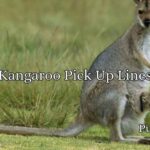 Kangaroo Pick Up Lines