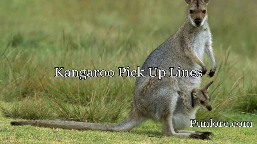 Kangaroo Pick Up Lines