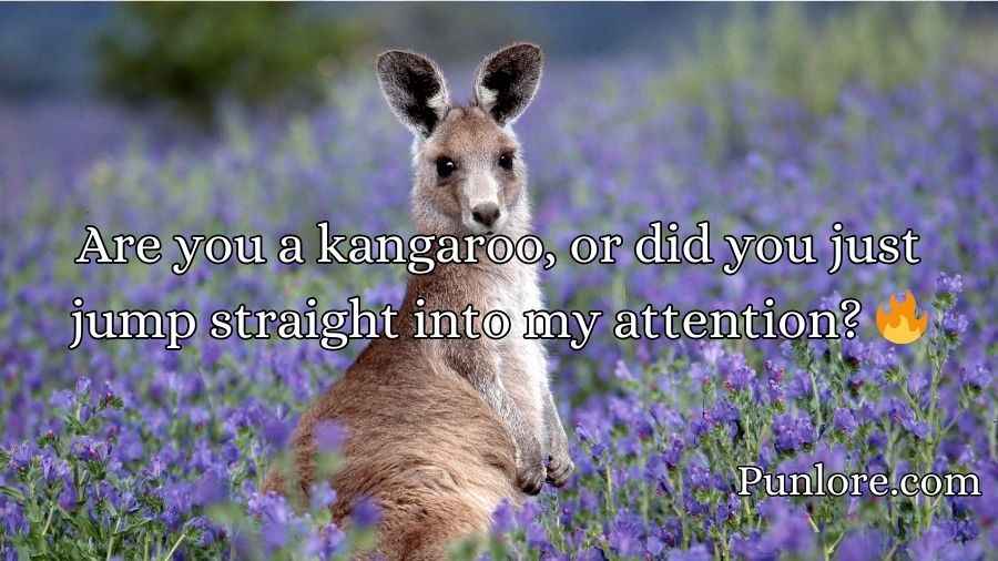 Kangaroo Pick Up Lines