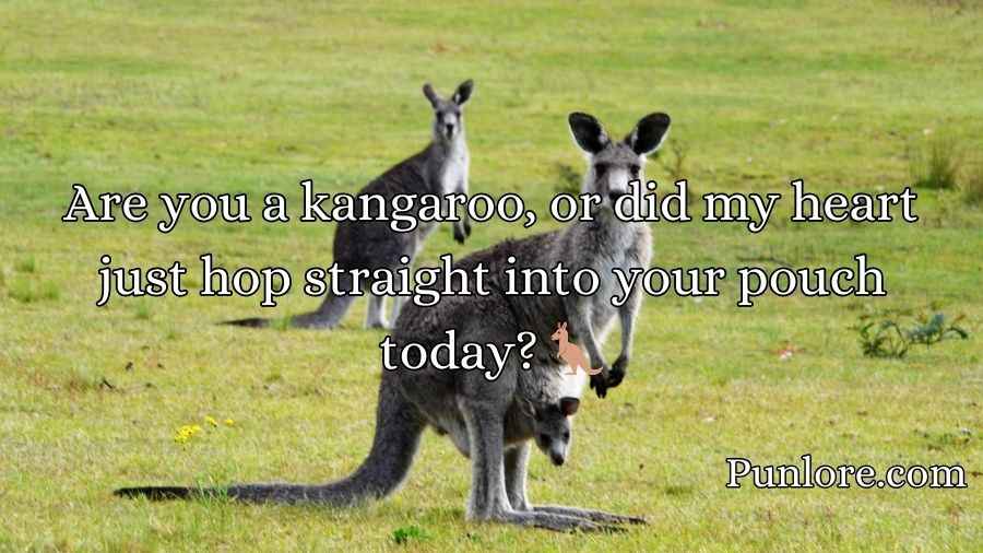 Kangaroo Pick Up Lines
