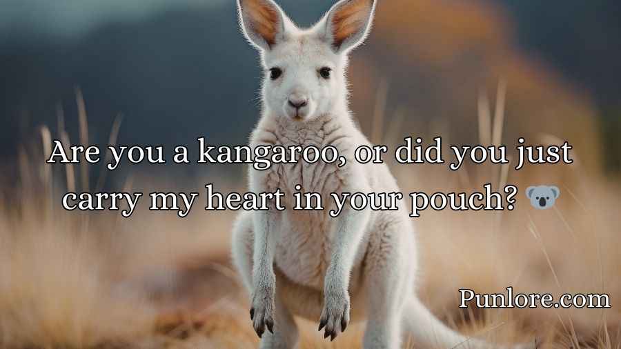 Kangaroo Pick Up Lines