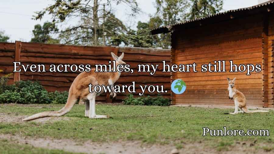 Kangaroo Pick Up Lines