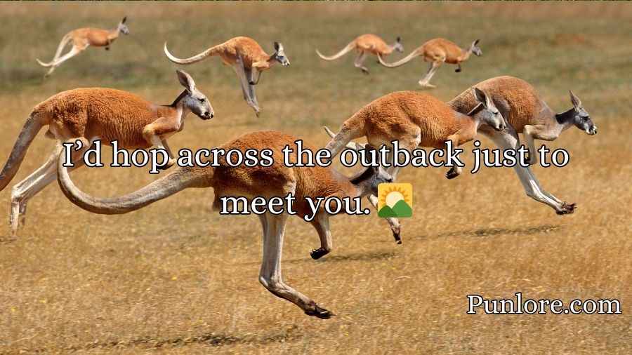 Kangaroo Pick Up Lines