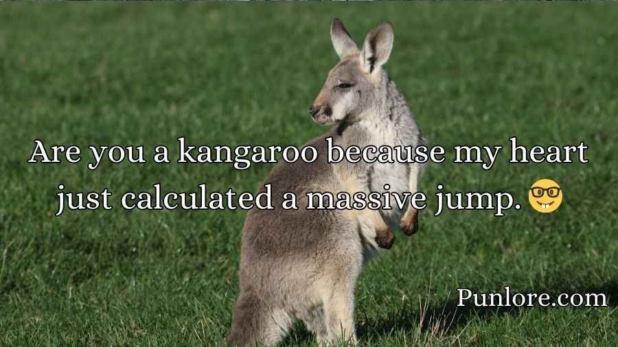 Kangaroo Pick Up Lines