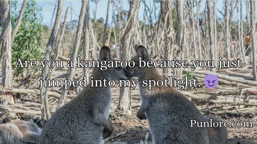 Kangaroo Pick Up Lines