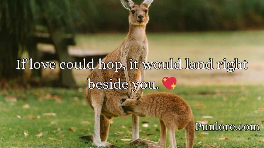 Kangaroo Pick Up Lines