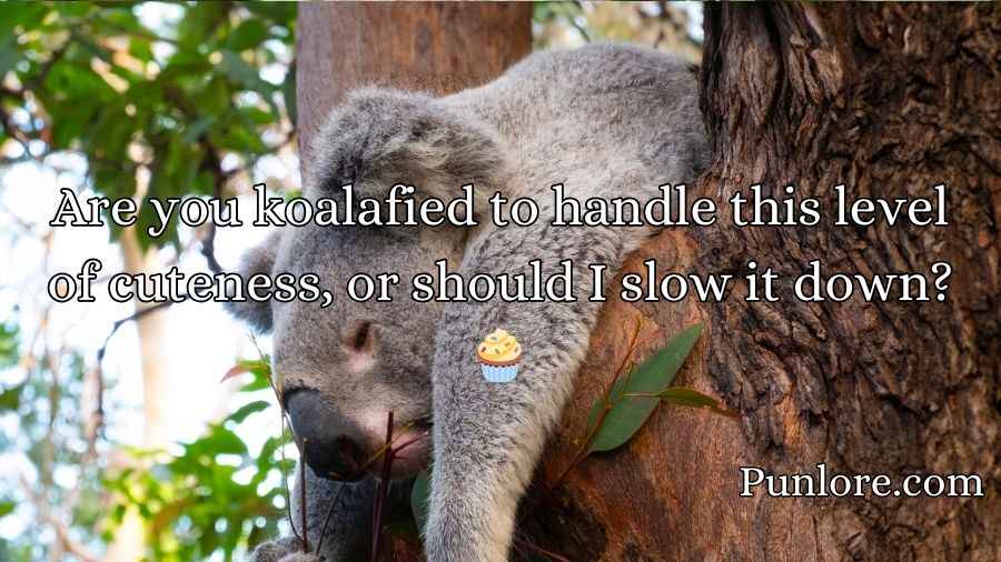 Koala Pickup Lines
