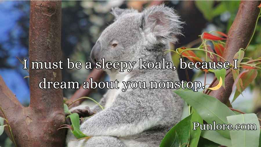 Koala Pickup Lines