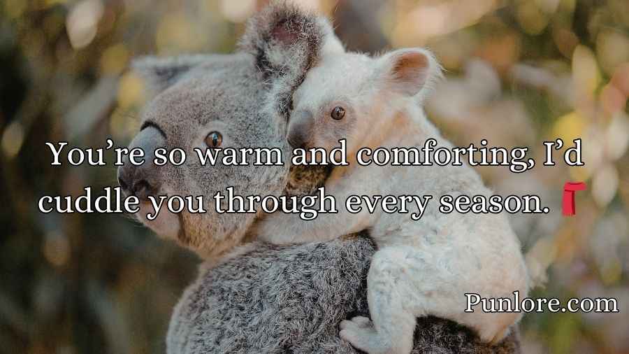 Koala Pickup Lines
