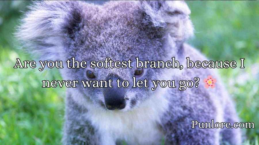 Koala Pickup Lines