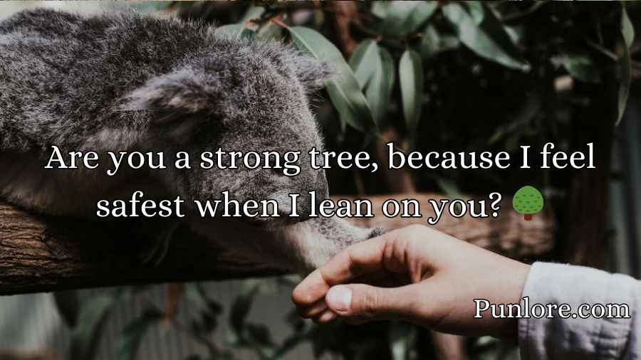 Koala Pickup Lines