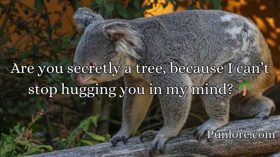 Koala Pickup Lines