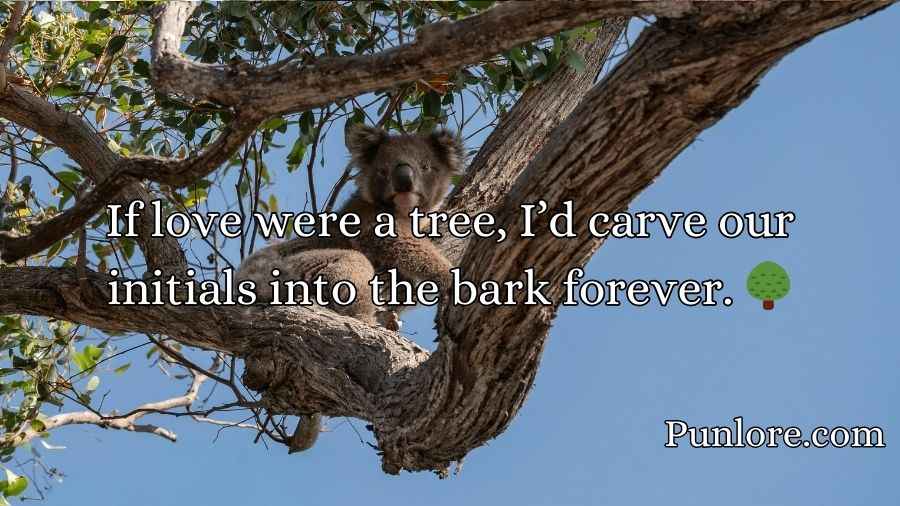 Koala Pickup Lines