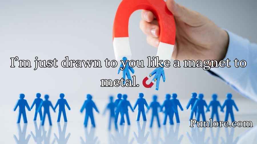 Magnet Puns