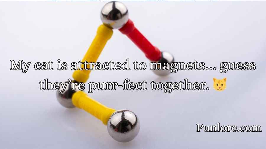 Magnet Puns